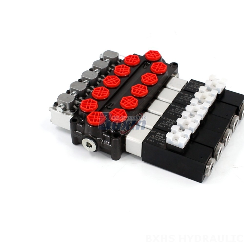 OEM/ODM/Private Label Custom Manufacturing for Q45 Solenoid And Manual 5 Spool Monoblock Directional Valve main image
